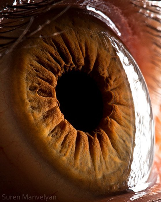 Illustration for article titled Extreme close-ups of human eyes look like craters on Mars
